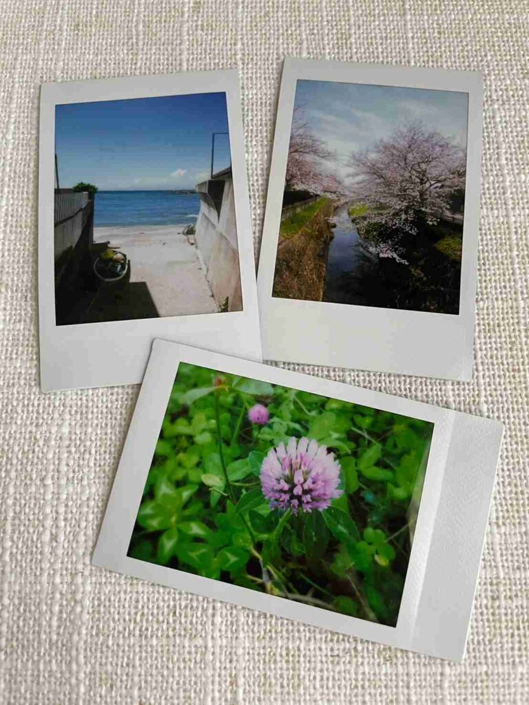 instax mini Evo　チェキフィルム